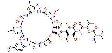 Coibamide A